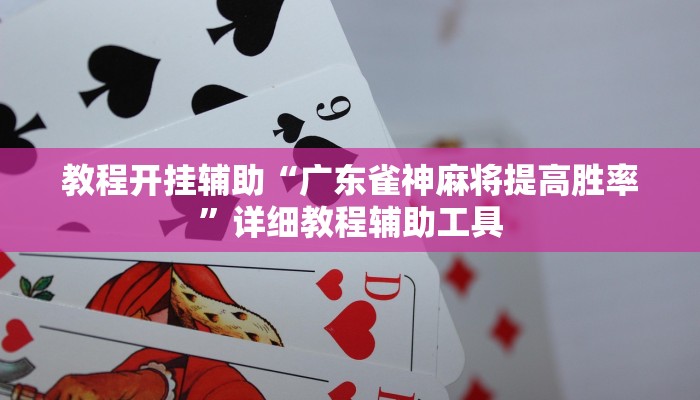 教程开挂辅助“广东雀神麻将提高胜率”详细教程辅助工具 教程开挂辅助“广东雀神麻将提高胜率”详细教程辅助工具
