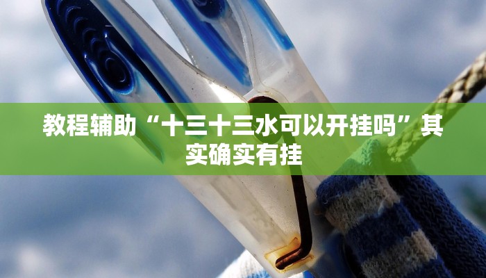 教程辅助“十三十三水可以开挂吗”其实确实有挂 教程辅助“十三十三水可以开挂吗”其实确实有挂