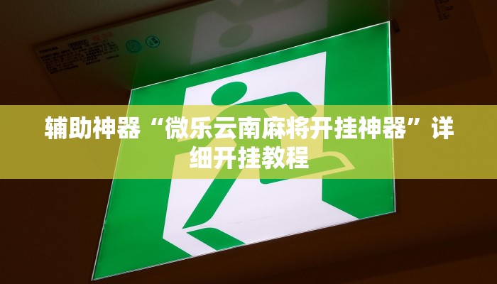 辅助神器“微乐云南麻将开挂神器”详细开挂教程 辅助神器“微乐云南麻将开挂神器”详细开挂教程