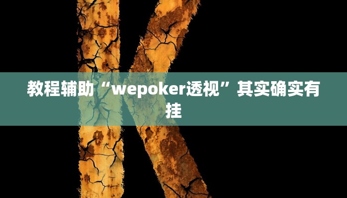 教程辅助“wepoker透视”其实确实有挂 教程辅助“wepoker透视”其实确实有挂