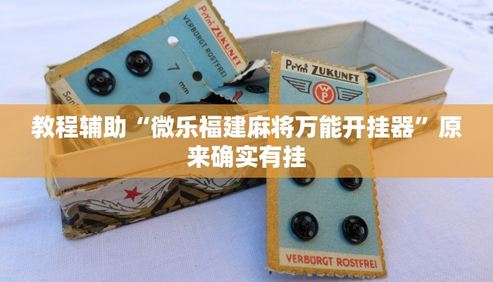 教程辅助“微乐福建麻将万能开挂器”原来确实有挂 教程辅助“微乐福建麻将万能开挂器”原来确实有挂