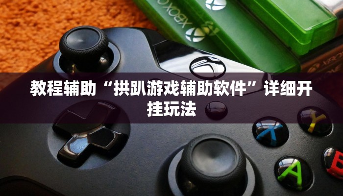 教程辅助“拱趴游戏辅助软件”详细开挂玩法