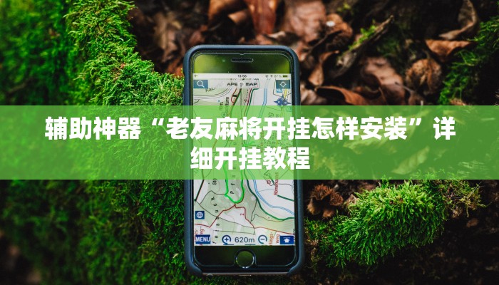 辅助神器“老友麻将开挂怎样安装”详细开挂教程