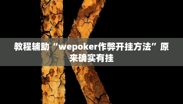 教程辅助“wepoker作弊开挂方法”原来确实有挂
