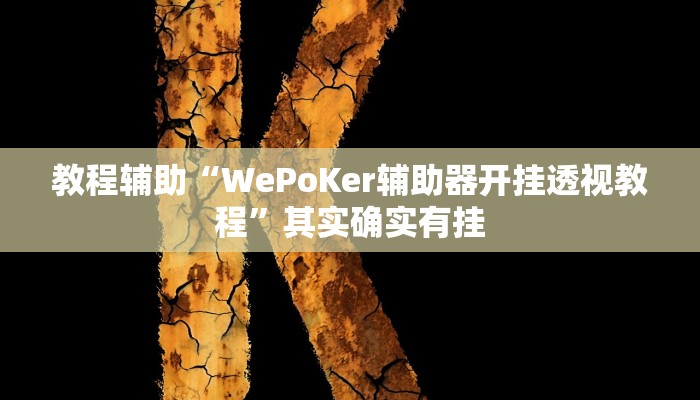 教程辅助“WePoKer辅助器开挂透视教程”其实确实有挂
