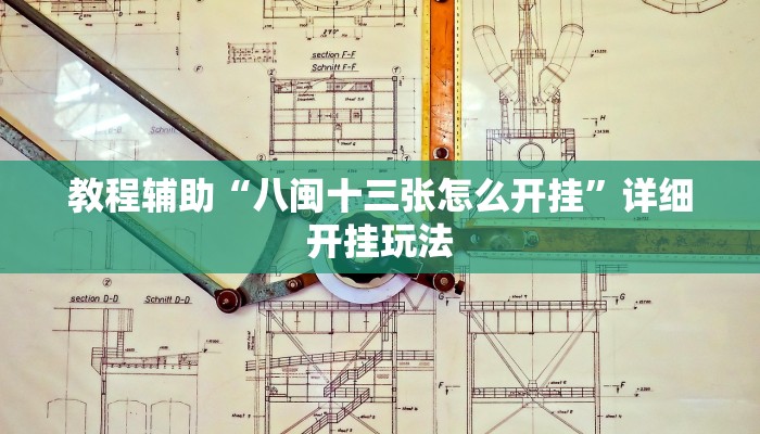 教程辅助“八闽十三张怎么开挂”详细开挂玩法