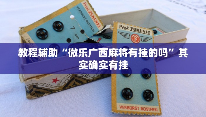 教程辅助“微乐广西麻将有挂的吗”其实确实有挂