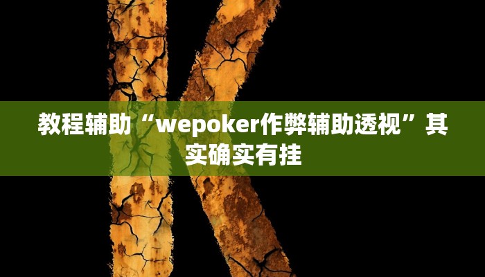 教程辅助“wepoker作弊辅助透视”其实确实有挂