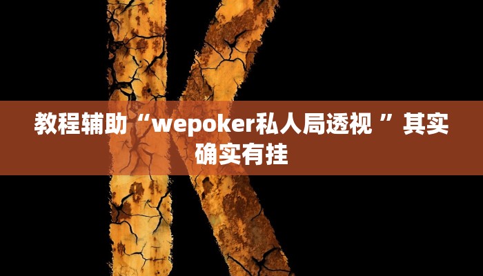 教程辅助“wepoker私人局透视 ”其实确实有挂