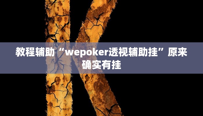 教程辅助“wepoker透视辅助挂”原来确实有挂