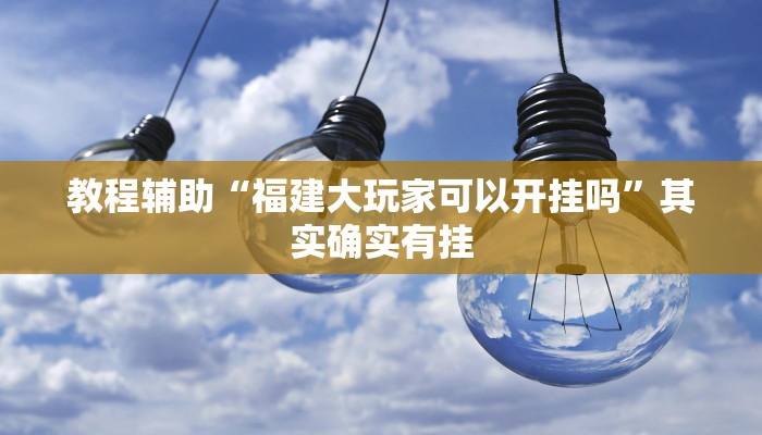 教程辅助“福建大玩家可以开挂吗”其实确实有挂