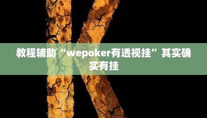 教程辅助“wepoker有透视挂”其实确实有挂