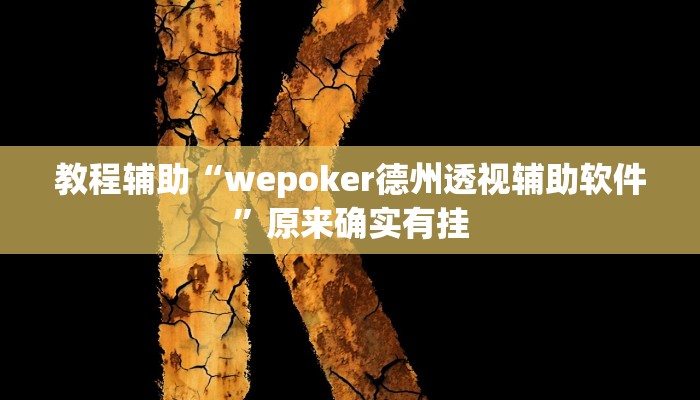 教程辅助“wepoker德州透视辅助软件”原来确实有挂