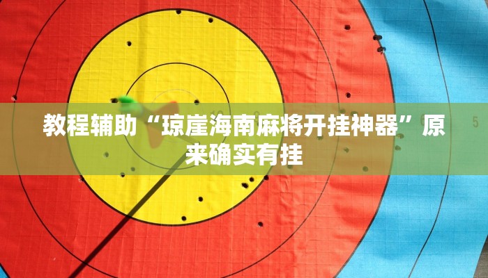 教程辅助“琼崖海南麻将开挂神器”原来确实有挂