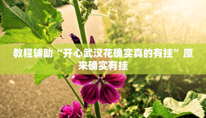 教程辅助“开心武汉花确实真的有挂”原来确实有挂