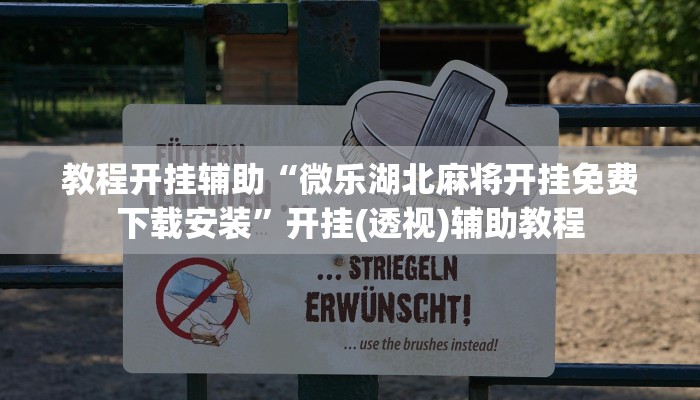 教程开挂辅助“微乐湖北麻将开挂免费下载安装”开挂(透视)辅助教程