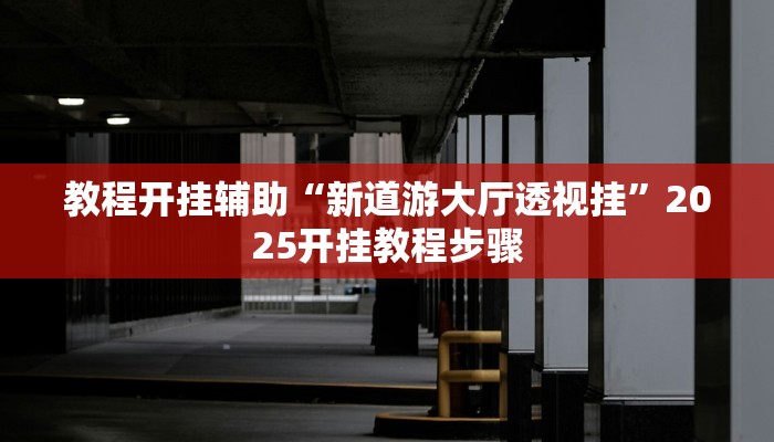 教程开挂辅助“新道游大厅透视挂”2025开挂教程步骤