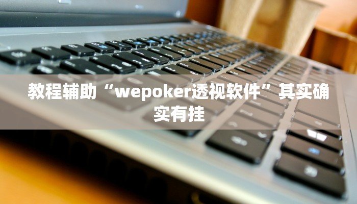 教程辅助“wepoker透视软件”其实确实有挂