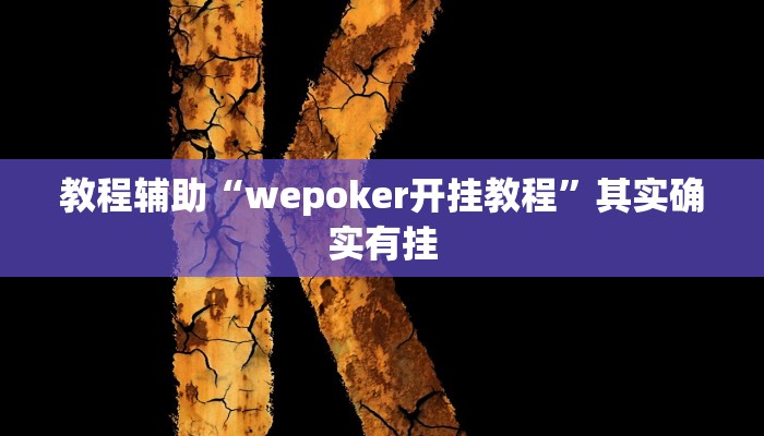 教程辅助“wepoker开挂教程”其实确实有挂