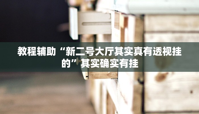 教程辅助“新二号大厅其实真有透视挂的”其实确实有挂