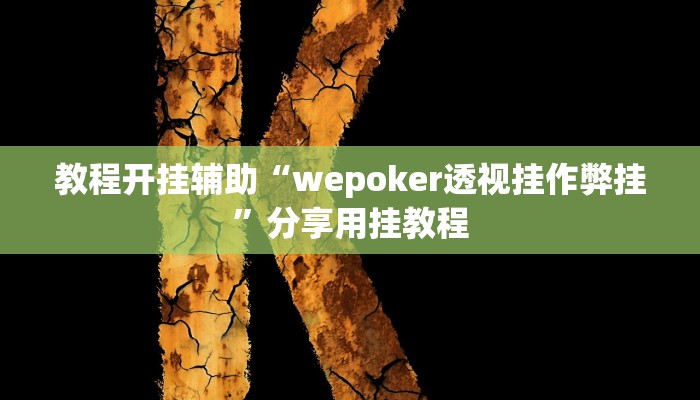 教程开挂辅助“wepoker透视挂作弊挂”分享用挂教程