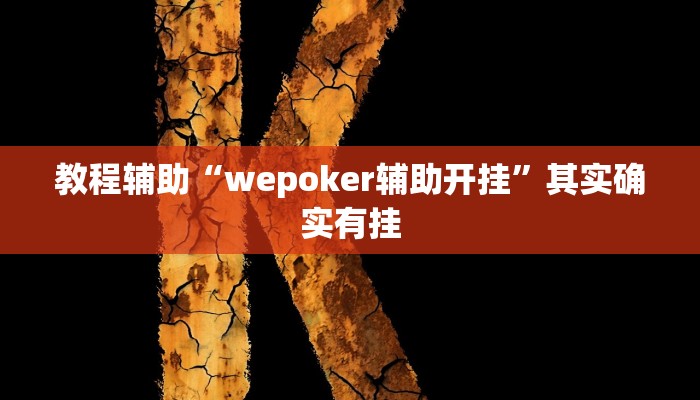 教程辅助“wepoker辅助开挂”其实确实有挂