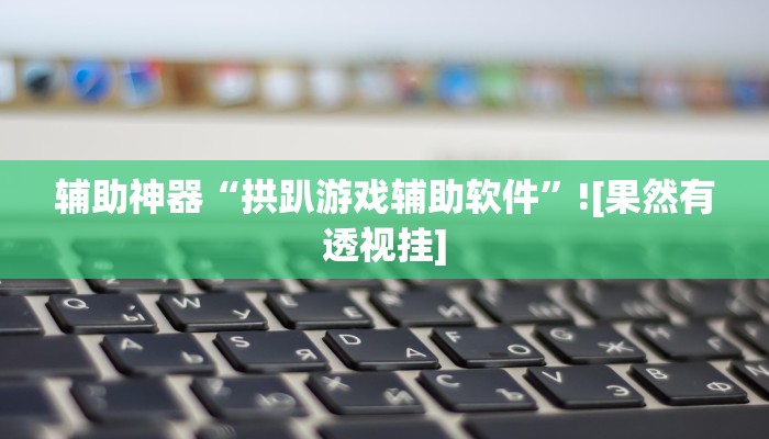 辅助神器“拱趴游戏辅助软件”![果然有透视挂]