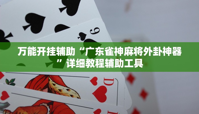 万能开挂辅助“广东雀神麻将外卦神器”详细教程辅助工具