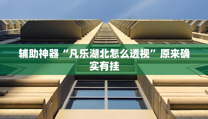 辅助神器“凡乐湖北怎么透视”原来确实有挂