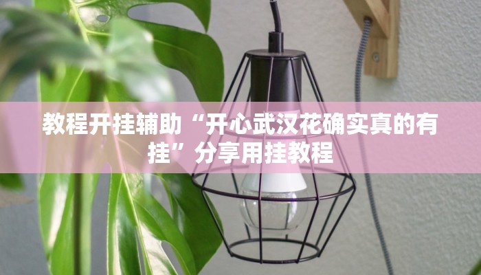 教程开挂辅助“开心武汉花确实真的有挂”分享用挂教程