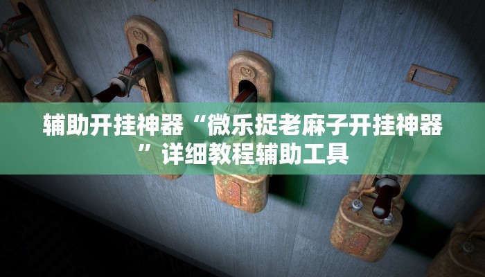 辅助开挂神器“微乐捉老麻子开挂神器”详细教程辅助工具