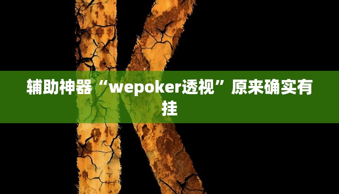 辅助神器“wepoker透视”原来确实有挂