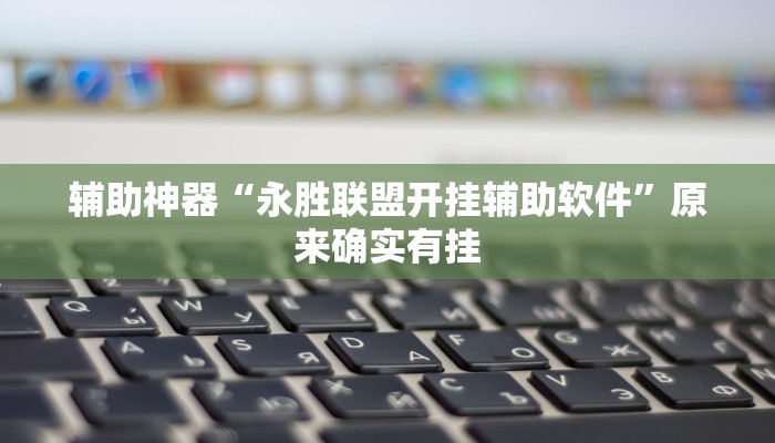 辅助神器“永胜联盟开挂辅助软件”原来确实有挂
