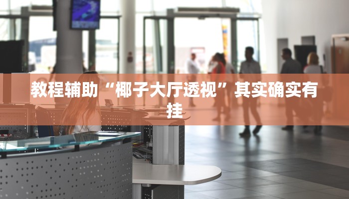 教程辅助“椰子大厅透视”其实确实有挂