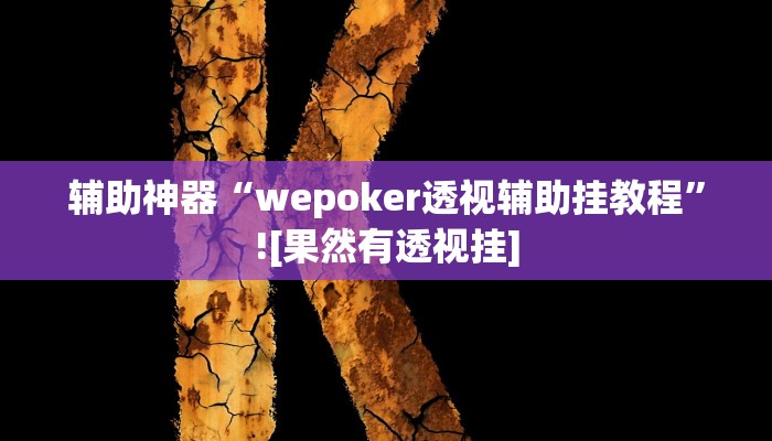 辅助神器“wepoker透视辅助挂教程”![果然有透视挂]