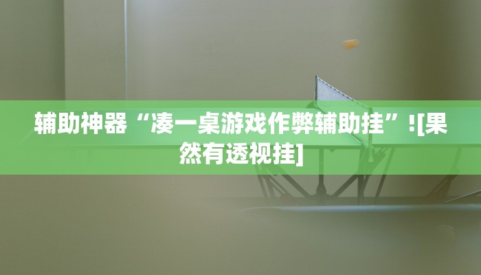 辅助神器“凑一桌游戏作弊辅助挂”![果然有透视挂]
