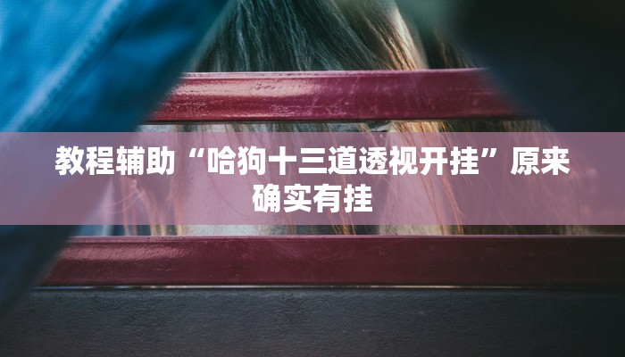 教程辅助“哈狗十三道透视开挂”原来确实有挂