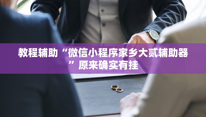 教程辅助“微信小程序家乡大贰辅助器”原来确实有挂