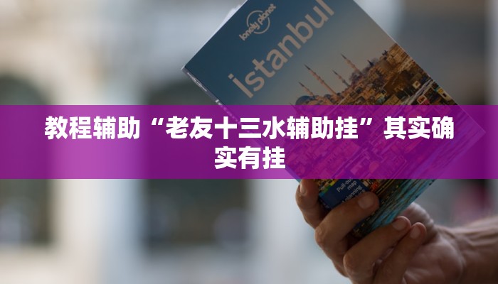 教程辅助“老友十三水辅助挂”其实确实有挂