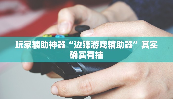 玩家辅助神器“边锋游戏辅助器”其实确实有挂