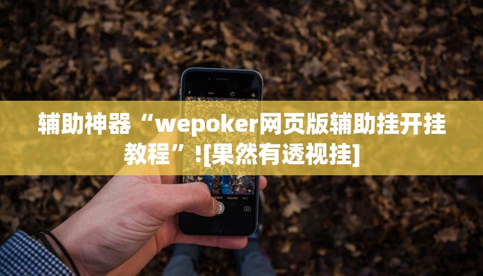 辅助神器“wepoker网页版辅助挂开挂教程”![果然有透视挂]