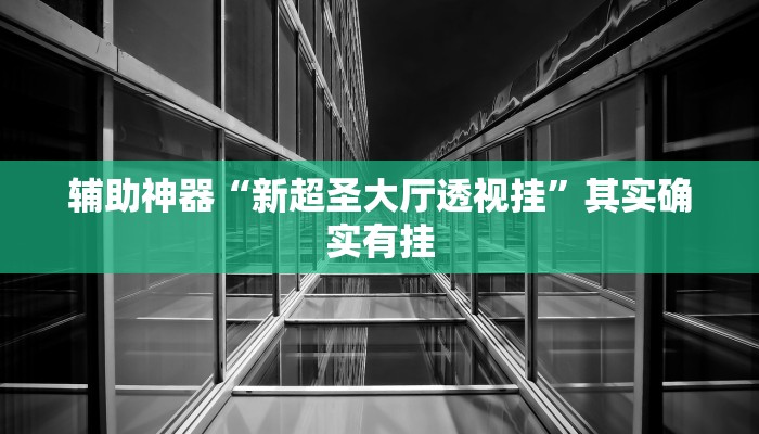 辅助神器“新超圣大厅透视挂”其实确实有挂