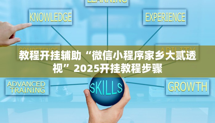 教程开挂辅助“微信小程序家乡大贰透视”2025开挂教程步骤