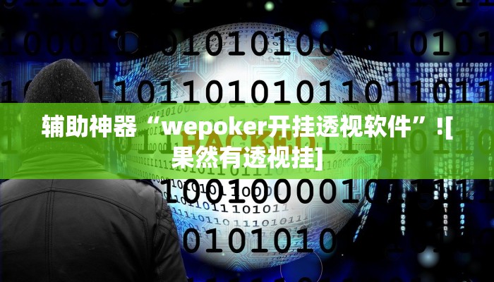 辅助神器“wepoker开挂透视软件”![果然有透视挂]