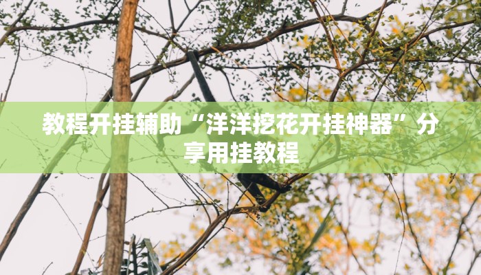 教程开挂辅助“洋洋挖花开挂神器”分享用挂教程