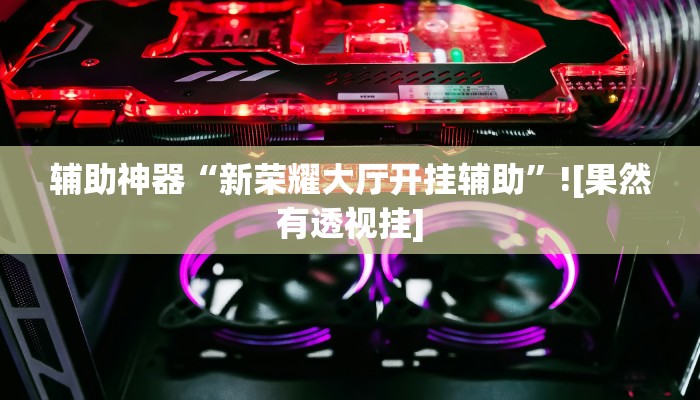 辅助神器“新荣耀大厅开挂辅助”![果然有透视挂]