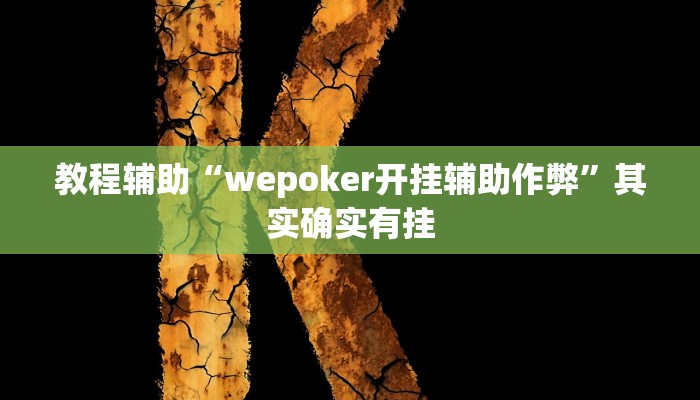 教程辅助“wepoker开挂辅助作弊”其实确实有挂