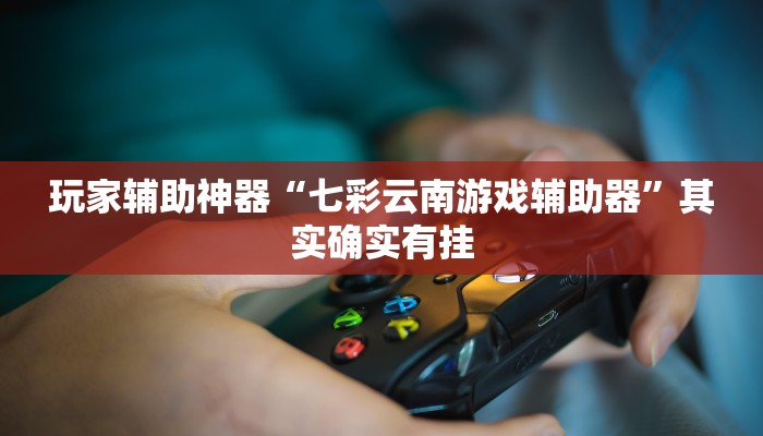 玩家辅助神器“七彩云南游戏辅助器”其实确实有挂