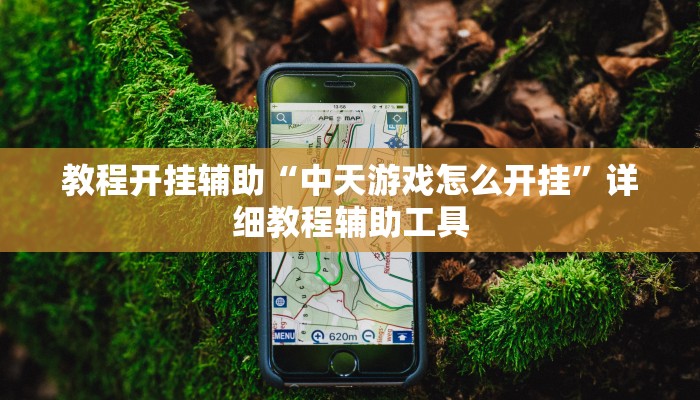 教程开挂辅助“中天游戏怎么开挂”详细教程辅助工具