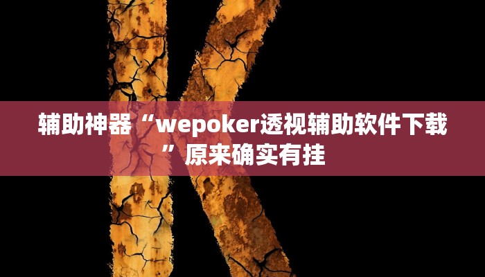 辅助神器“wepoker透视辅助软件下载”原来确实有挂